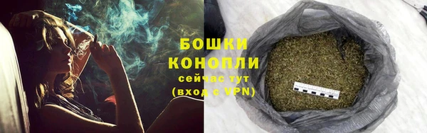 PSILOCYBIN Баксан