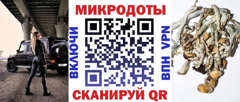 Псилоцибиновые грибы Magic Shrooms  Кущёвская 